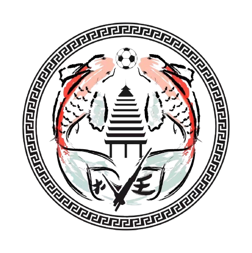  扒王村足球队 